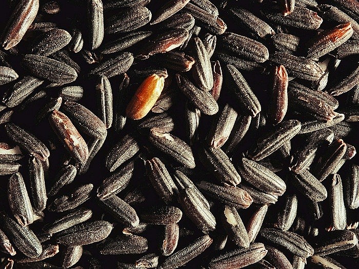 Hợp tác xã Giảm Nghèo Ea Súp luôn kiên định đồng hành cùng giống gạo Briết đặc sản địa phương Hợp tác xã Giảm Nghèo Ea Súp luôn kiên định đồng hành cùng giống gạo Briết đặc sản địa phương