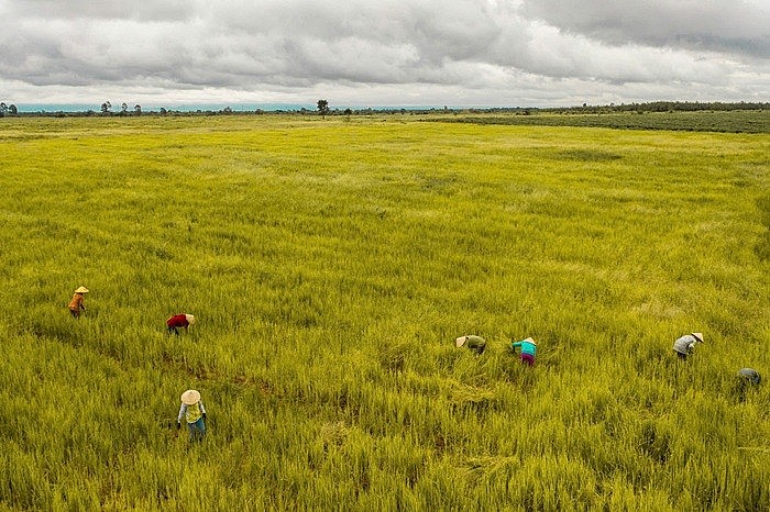 HTX GNES vẫn thường xuyên đối mặt thời tiết khắc nghiệt, điển hình như hiện tượng “El Nino” gây nắng nóng kéo dài, nguồn nước suối khô cạn nhanh hơn dự kiến HTX GNES vẫn thường xuyên đối mặt thời tiết khắc nghiệt, điển hình như hiện tượng “El Nino” gây nắng nóng kéo dài, nguồn nước suối khô cạn nhanh hơn dự kiến