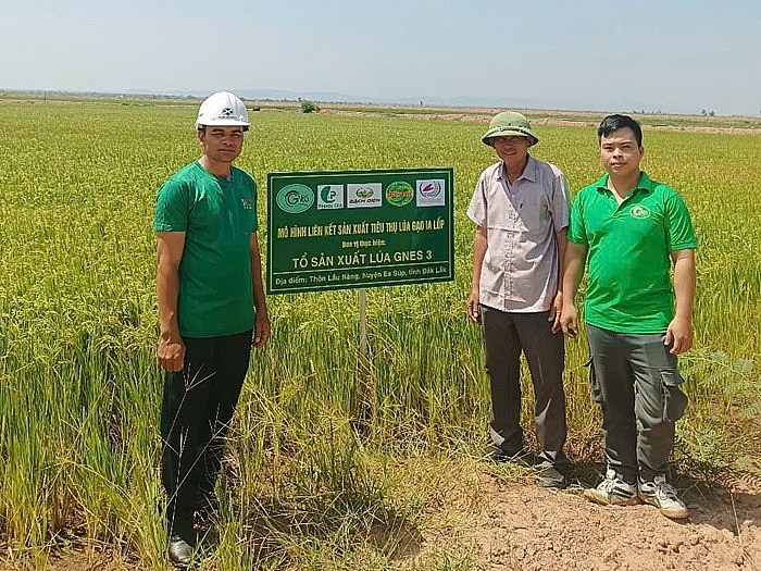 HTX đạt doanh thu 712 triệu đồng, lợi nhuận 89 triệu đồng năm 2024 nhờ những sản phẩm chế biến sâu bằng nguyên liệu gạo Briết đặc sản HTX đạt doanh thu 712 triệu đồng, lợi nhuận 89 triệu đồng năm 2024 nhờ những sản phẩm chế biến sâu bằng nguyên liệu gạo Briết đặc sản