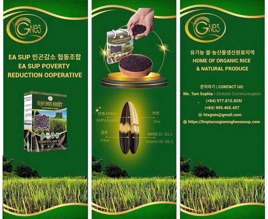 Cuối tháng 10, HTX vừa hoàn tất thiết kế bao bì bằng tiếng Hàn, sẵn sàng cạnh tranh sòng phẳng tại thị trường phát triển mạnh, năng động bậc nhất khu vực châu Á Cuối tháng 10, HTX vừa hoàn tất thiết kế bao bì bằng tiếng Hàn, sẵn sàng cạnh tranh sòng phẳng tại thị trường phát triển mạnh, năng động bậc nhất khu vực châu Á