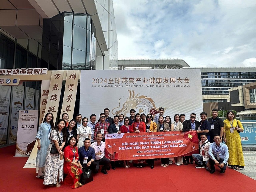 Chị Hằng cũng như những người làm nghề chân chính mong có sự kiểm soát chặt chẽ hơn nữa với yến ngoại nhập giá rẻ, đồng thời tăng cường hậu kiểm những sản phẩm yến lưu hành trên thị trường