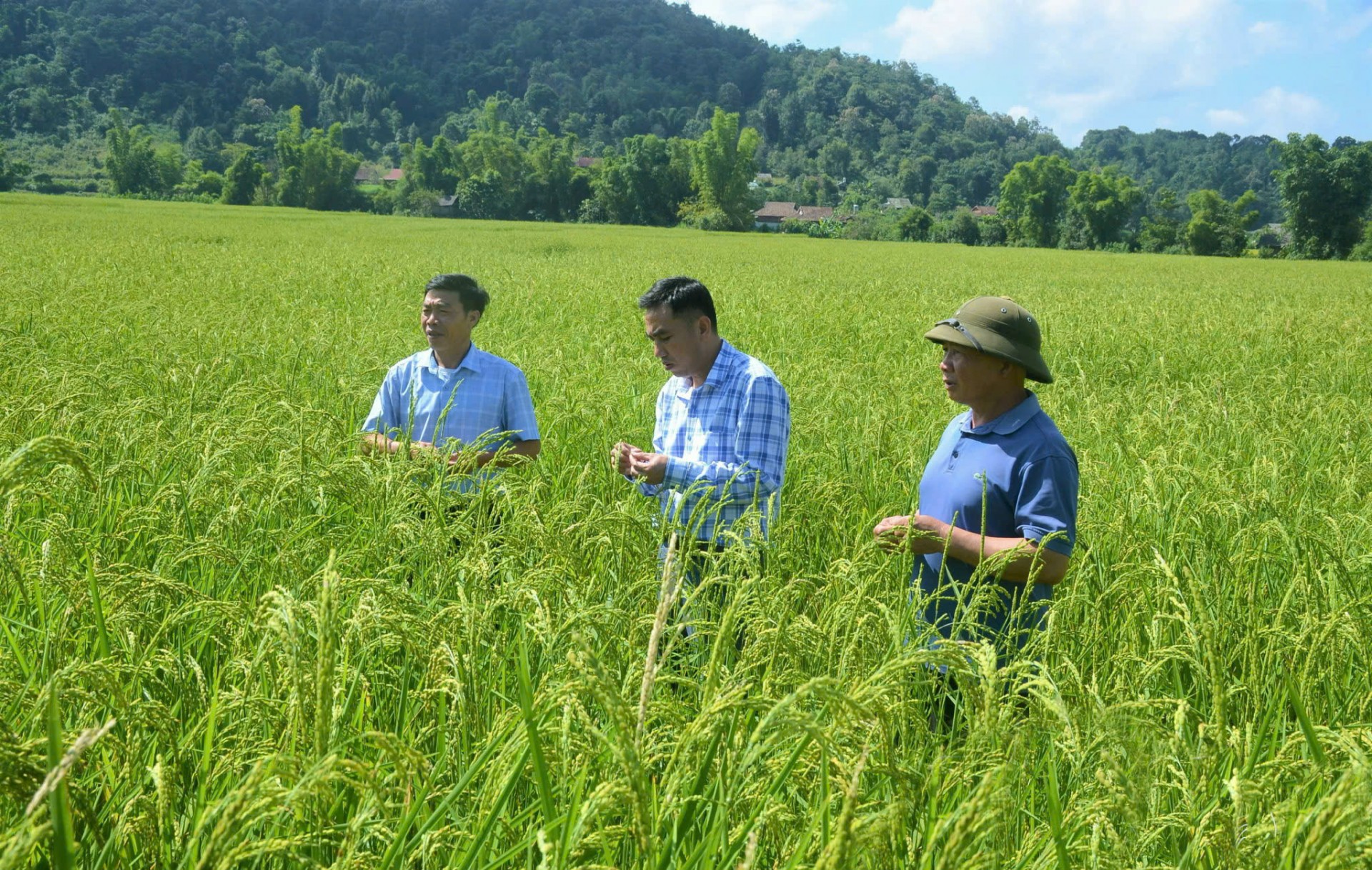 “Hạt ngọc” trên đất Mường Phăng lịch sử