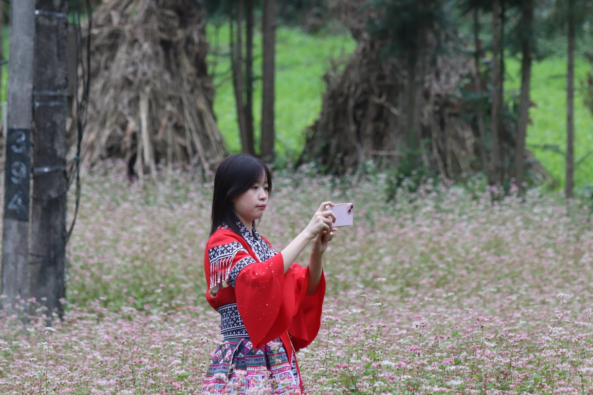 le hoi hoa tam giac mach 1 le hoi hoa tam giac mach 1