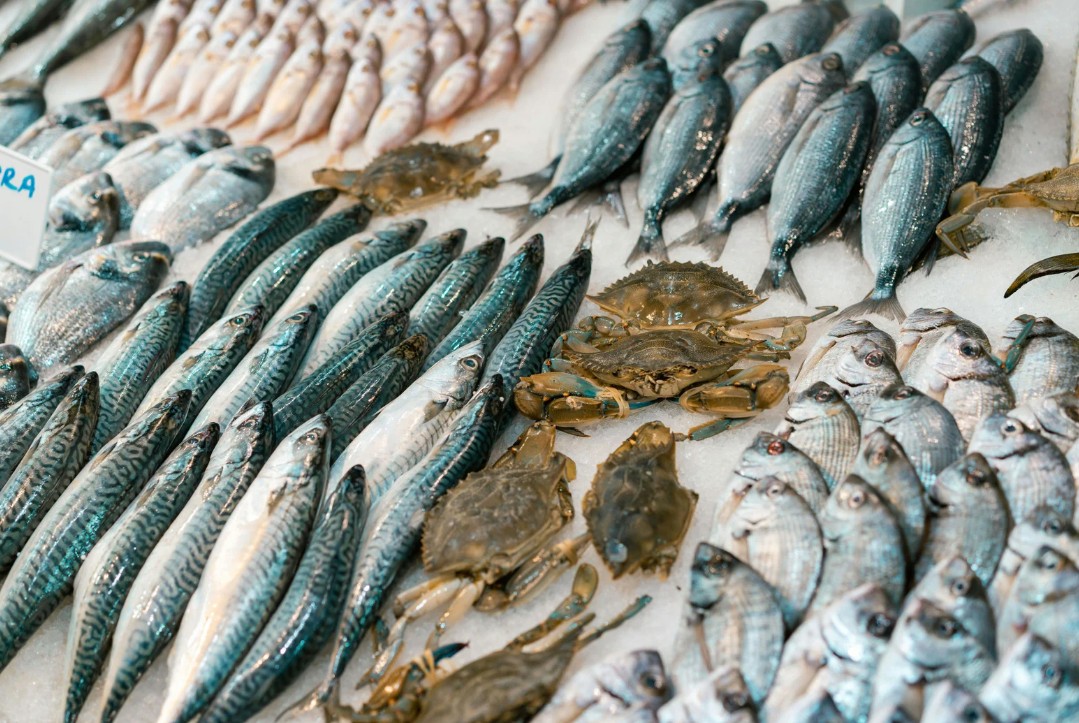 Lan tỏa giá trị đặc sản biển qua chuỗi sản phẩm OCOP Lan tỏa giá trị đặc sản biển qua chuỗi sản phẩm OCOP