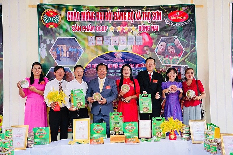 Hạt điều Như Hoàng - Từ trăn trở mùa vụ đến thương hiệu OCOP Hạt điều Như Hoàng Từ trăn trở mùa vụ đến thương hi