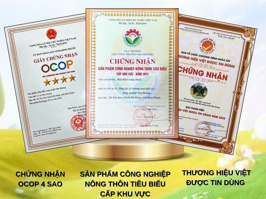 Hạt điều Như Hoàng - Từ trăn trở mùa vụ đến thương hiệu OCOP Hạt điều Như Hoàng Từ trăn trở mùa vụ đến thương hi