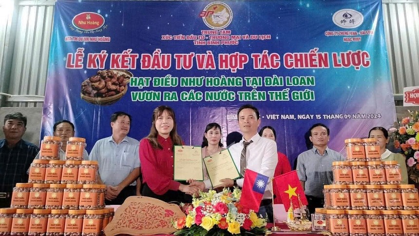 Hạt điều Như Hoàng - Từ trăn trở mùa vụ đến thương hiệu OCOP Hạt điều Như Hoàng Từ trăn trở mùa vụ đến thương hi