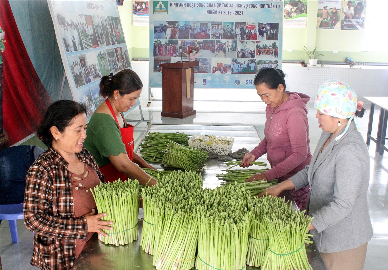 Sản phẩm Măng tây Tuấn Tú của HTX Tuấn Tú đã được xếp hạng OCOP 3 Sao và bảo hộ Nhãn hiệu tập thể