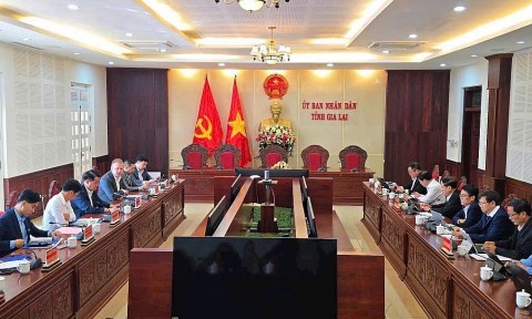 tap doan hung nhon va tap doan de heus dau tu chuoi du an nong nghiep cong nghe cao tai gia lai