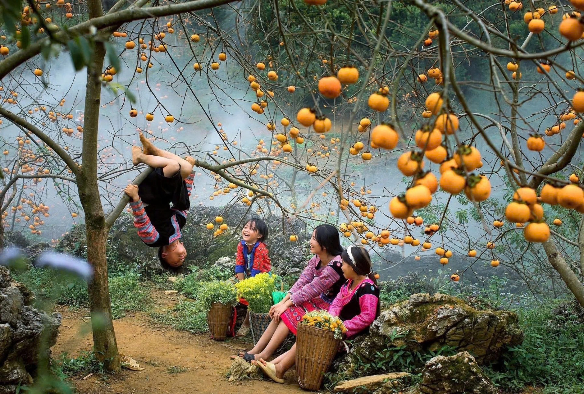 Mùa Thu Mộc Châu thì thầm câu chuyện giàu từ đất