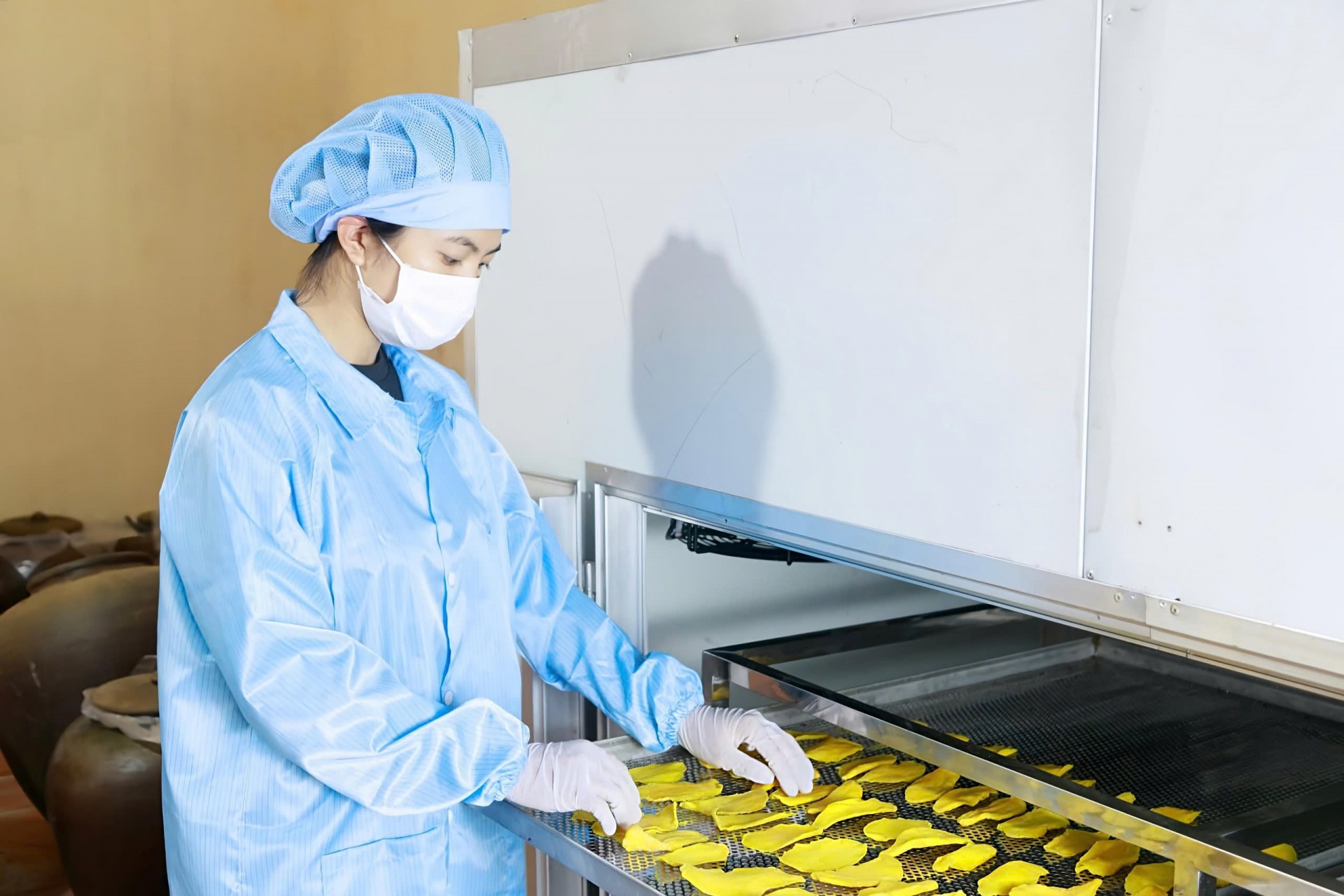 Công nghệ “giữ mùa” cho hoa quả đặc sản ở Mộc Châu