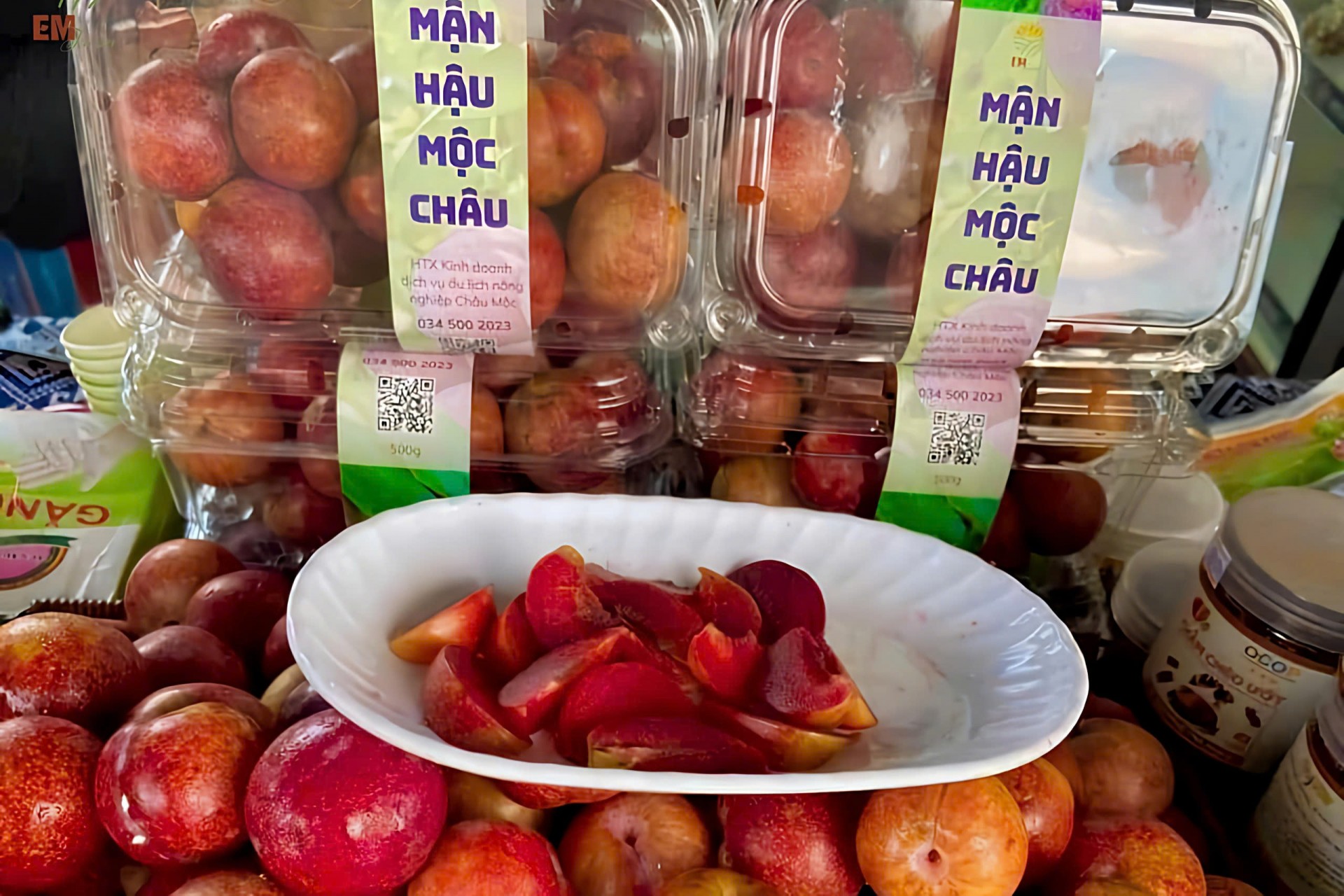 Công nghệ “giữ mùa” cho hoa quả đặc sản ở Mộc Châu