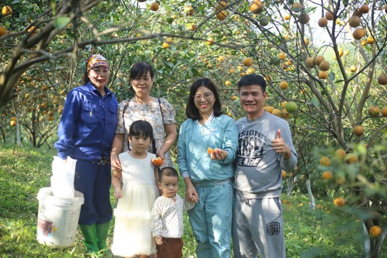 Mứt cam 3T Farm: Giữ trọn tinh hoa từ đất cam Cao Phong Mứt cam 3T Farm: Giữ trọn tinh hoa từ đất cam Cao Phong