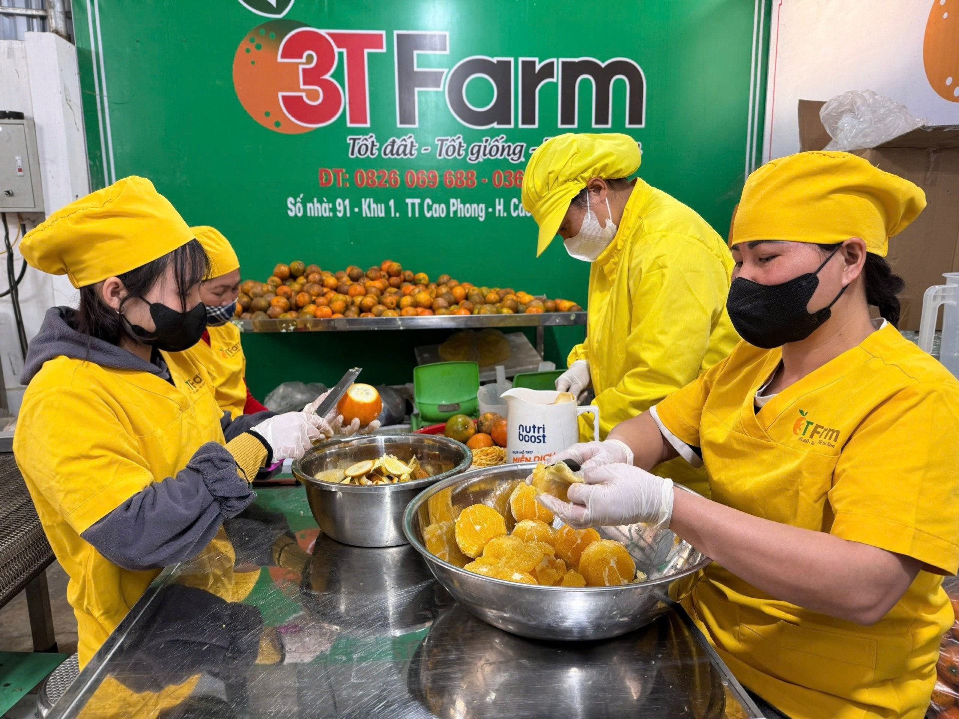 Mứt cam 3T Farm: Giữ trọn tinh hoa từ đất cam Cao Phong Mứt cam 3T Farm: Giữ trọn tinh hoa từ đất cam Cao Phong