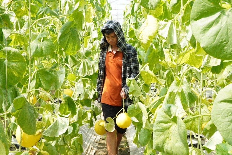 Từ “kẻ liều lĩnh