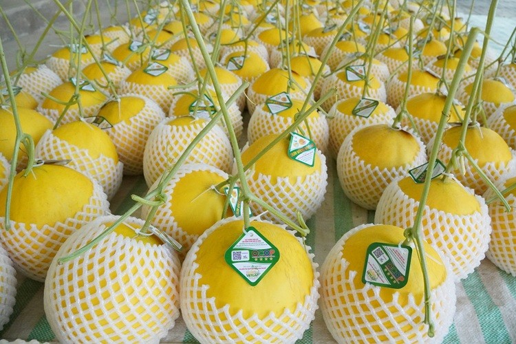 Từ “kẻ liều lĩnh