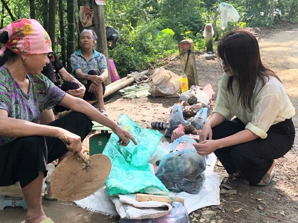 Khoai sọ Phúc Sạn: Hương vị từ đất lòng hồ