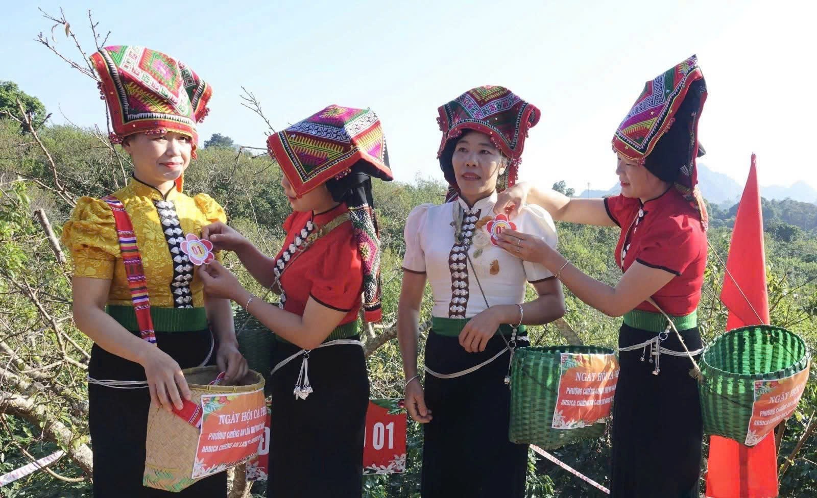 Chiềng An: Hái cà phê, gắn cộng đồng