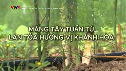 Măng tây Tuấn Tú từ Ninh Thuận chinh phục thị trường Hà Nội