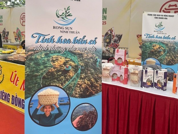 “Rong sụn Ninh Thuận”: Viên ngọc xanh tỏa sáng giữa lòng thủ đô Hà Nội