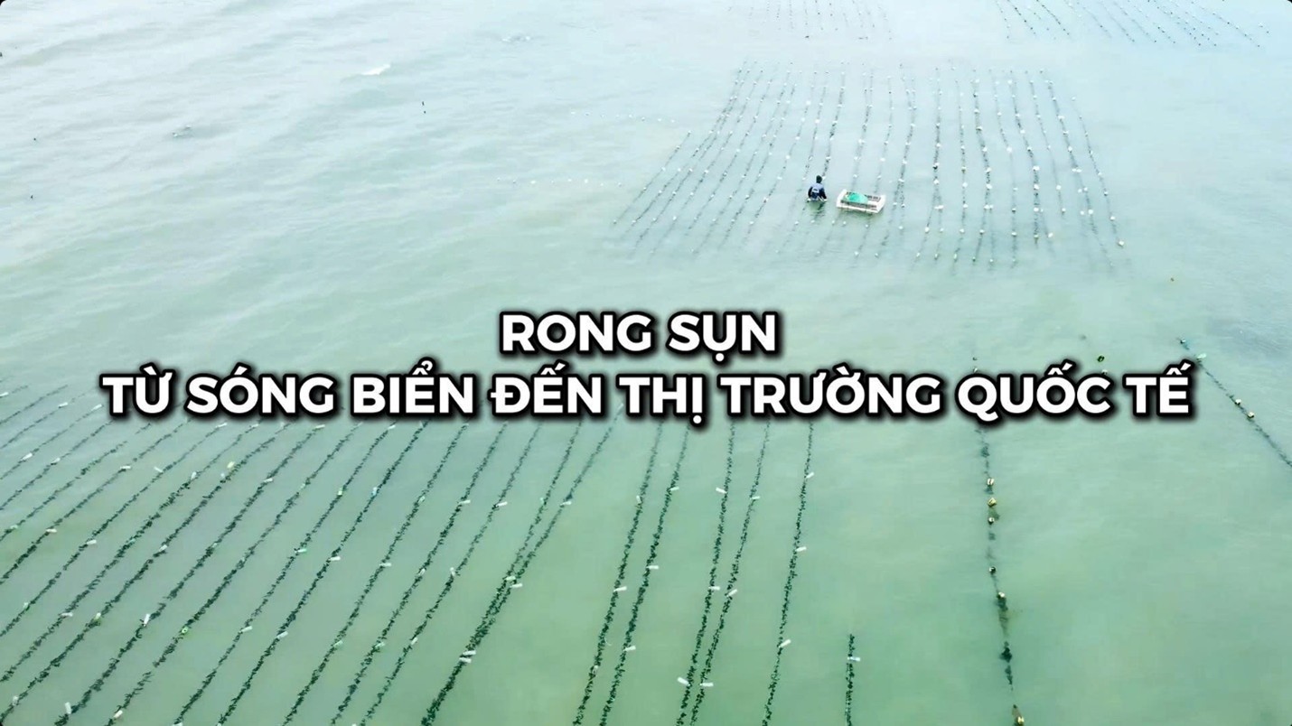  Sản phẩm mang NHCN “Rong sụn Ninh Thuận” trên VTV9