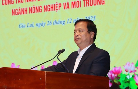 gia lai nganh nong nghiep va moi truong tu duy dot pha chieu sau va chat luong