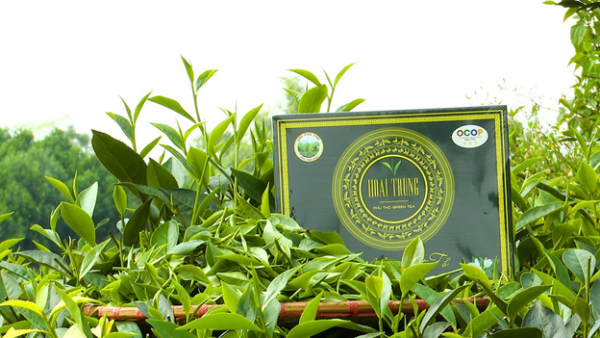 Sức bật cho sản phẩm OCOP trong giai đoạn mới