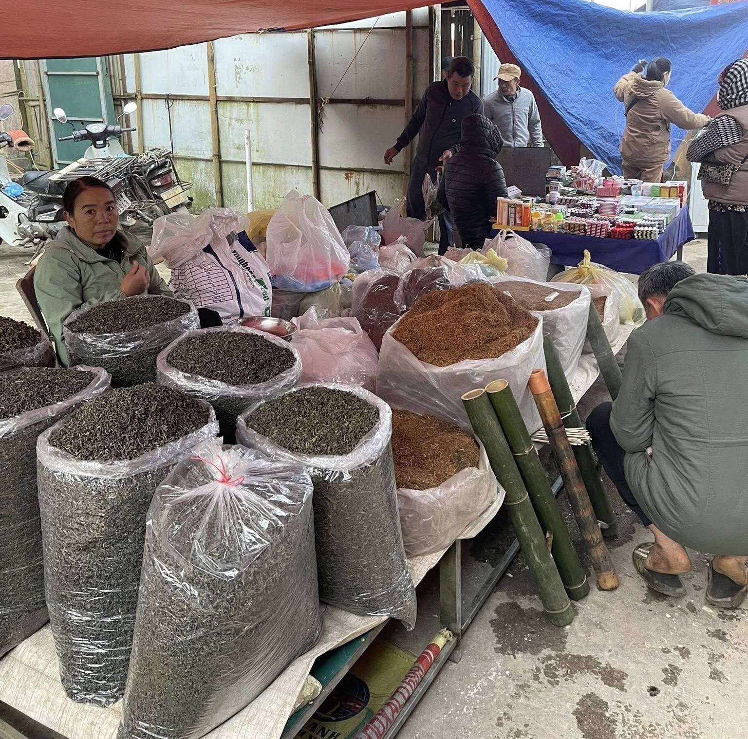 Săn mây trên “nóc nhà” xứ Mường Bi