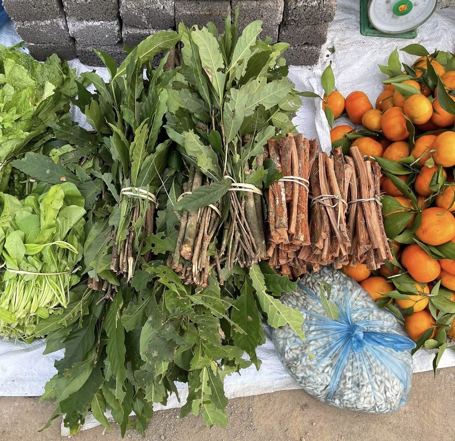 Săn mây trên “nóc nhà” xứ Mường Bi