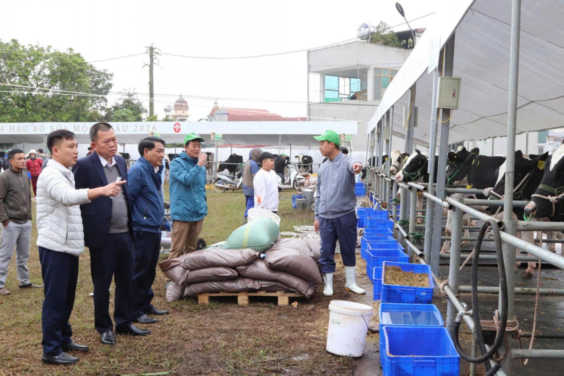 Sắc màu nông sản cao nguyên tại Hội thi Hoa hậu bò sữa Mộc Châu 2026