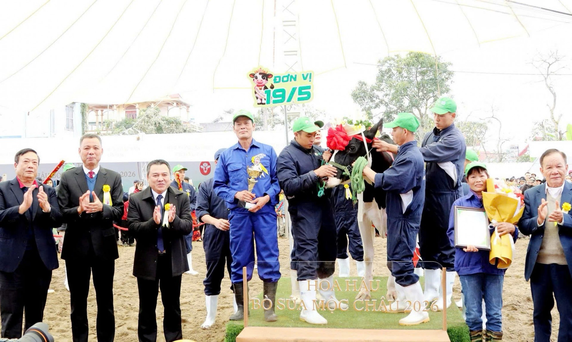 Hội thi Hoa hậu bò sữa Mộc Châu 2026: Khẳng định bước chuyển mình ngành sữa