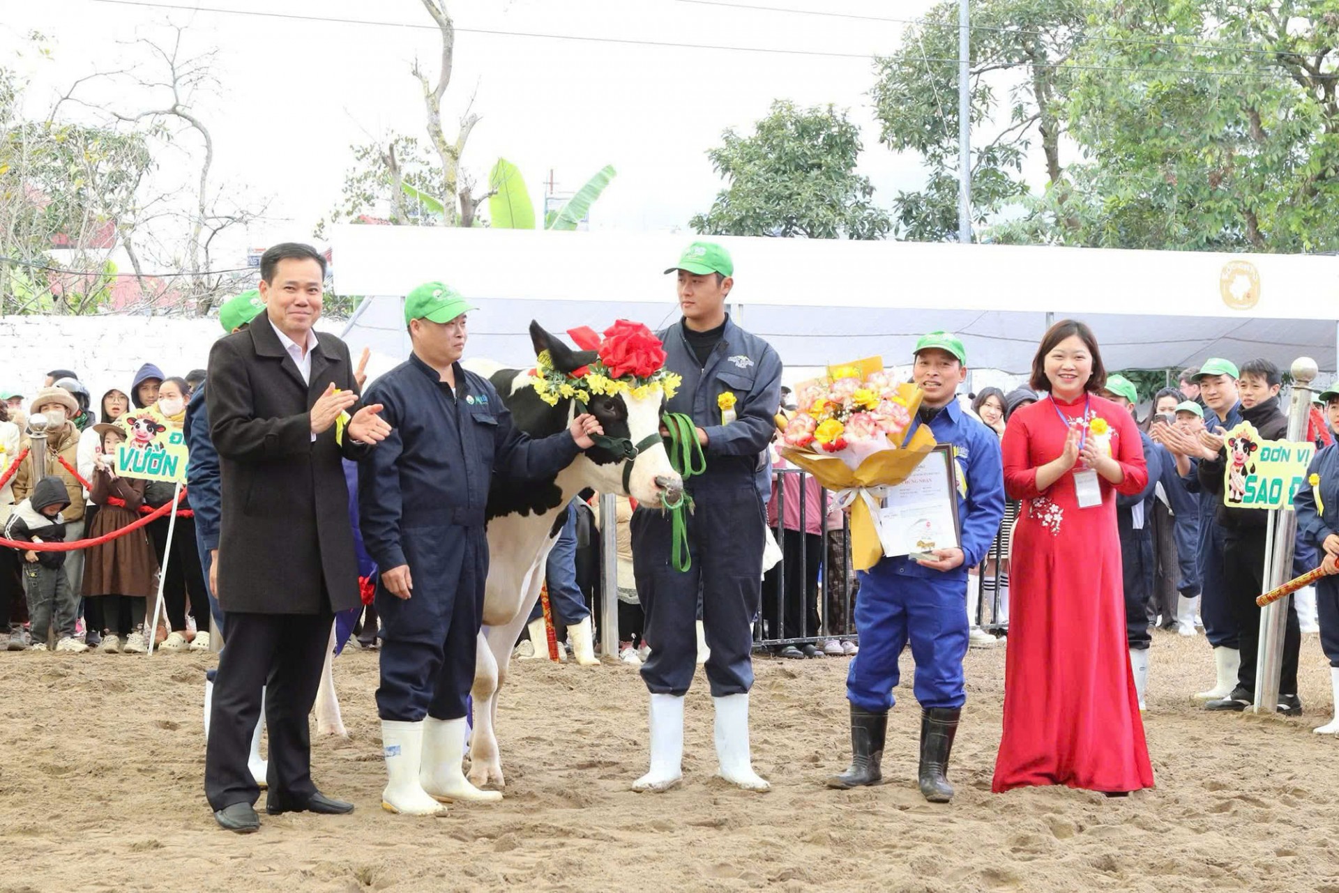 Hội thi Hoa hậu bò sữa Mộc Châu 2026: Khẳng định bước chuyển mình ngành sữa