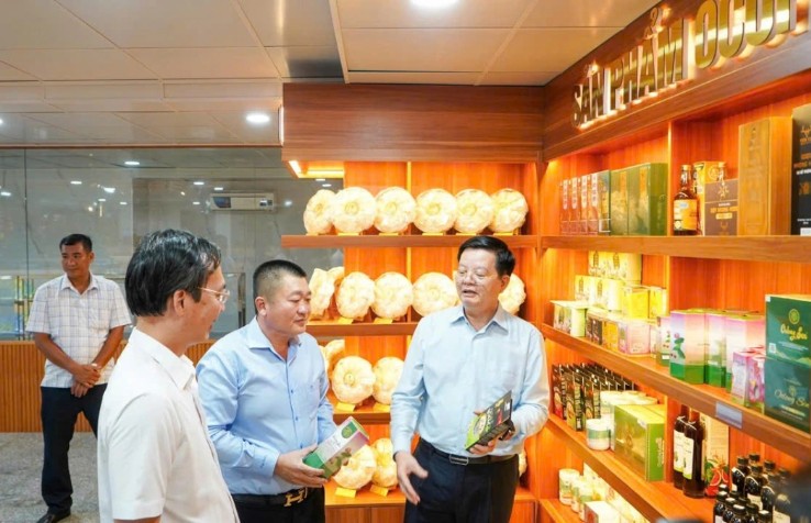 Đồng Tháp công bố Top 20 sản phẩm OCOP tiêu biểu