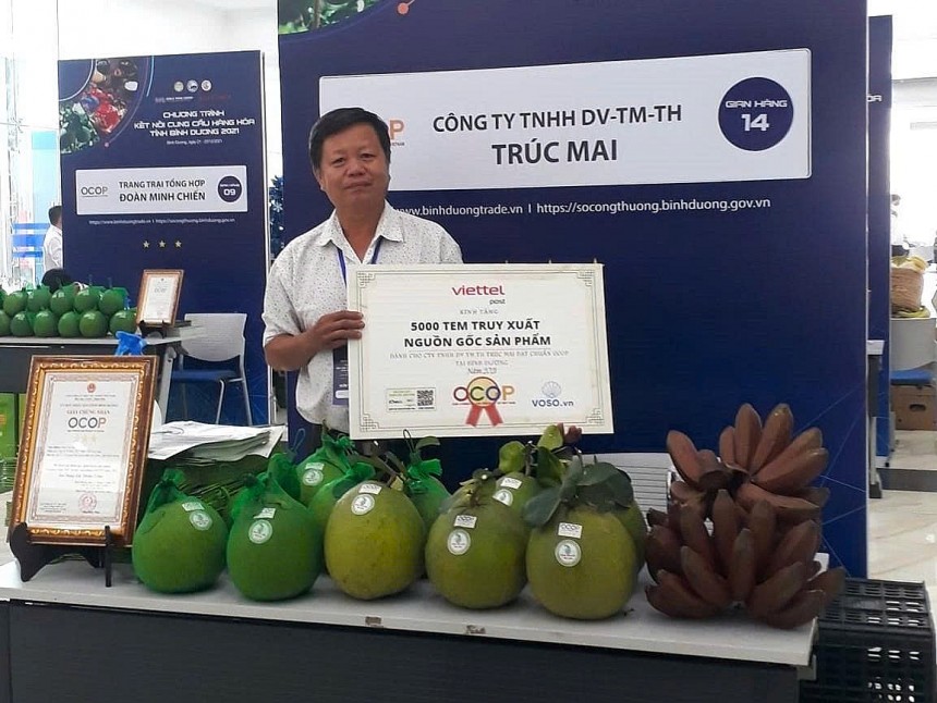 Khởi đầu từ những năm tháng làm lúa theo nghiệp cha ông, ông Phước nhận ra thế mạnh thổ nhưỡng quê hương rất phù hợp để phát triển cây có múi