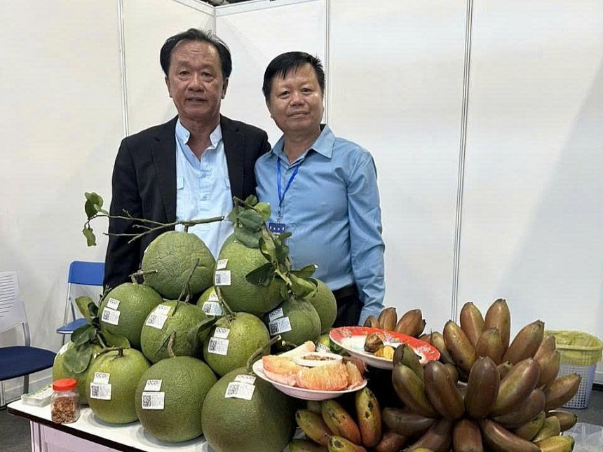 Sản phẩm bưởi từ Công ty TNHH DV TM Tổng hợp Trúc Mai đạt chứng nhận OCOP 3 sao lần đầu hồi năm 2020, tiếp tục được tái công nhận ở năm 2023