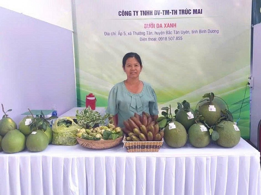 Doanh nghiệp cũng hỗ trợ kỹ thuật, xây dựng chuỗi liên kết bền chặt giúp bà con nông dân yên tâm bám đất, cùng công ty tạo nên vùng nguyên liệu sạch