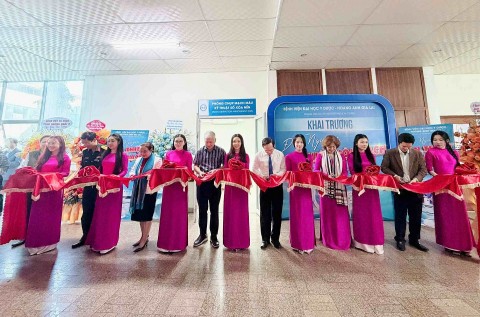 benh vien dai hoc y duoc hoang anh gia lai khai truong don nguyen can thiep noi mach