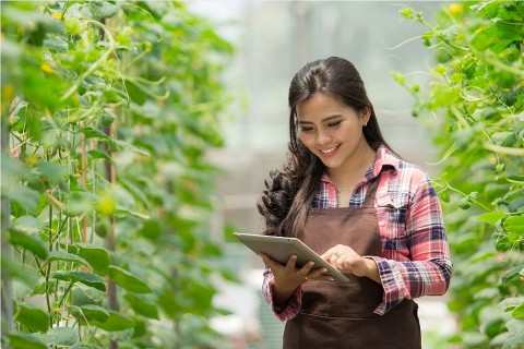 tang cuong van dong nong dan san xuat nong san an toan