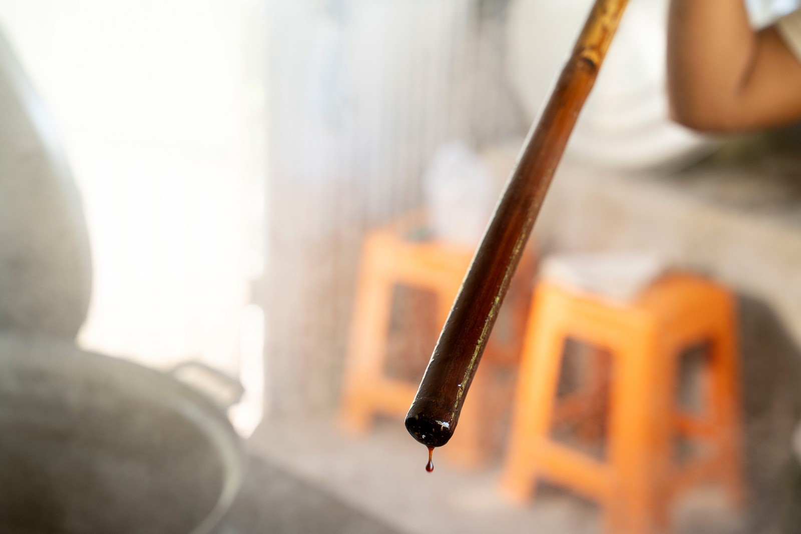 Đường thốt nốt Bảy Núi và hành trình nâng tầm đặc sản Khmer