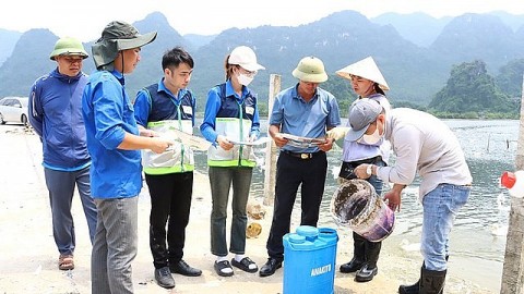 tinh gon don vi su nghiep khuyen nong nang cao hieu qua van hanh chinh quyen dia phuong 2 cap