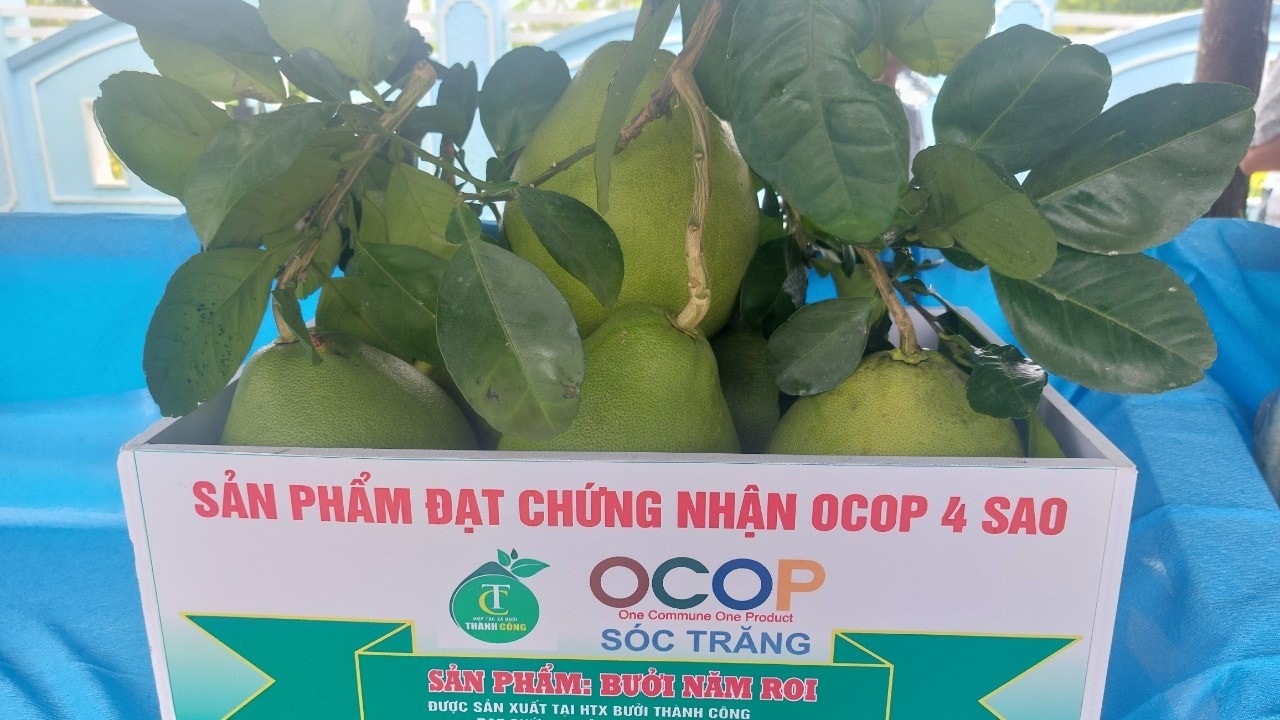 Nâng sức cạnh tranh cho sản phẩm OCOP Cần Thơ: Từ mở rộng số lượng đến nâng chất thị trường
