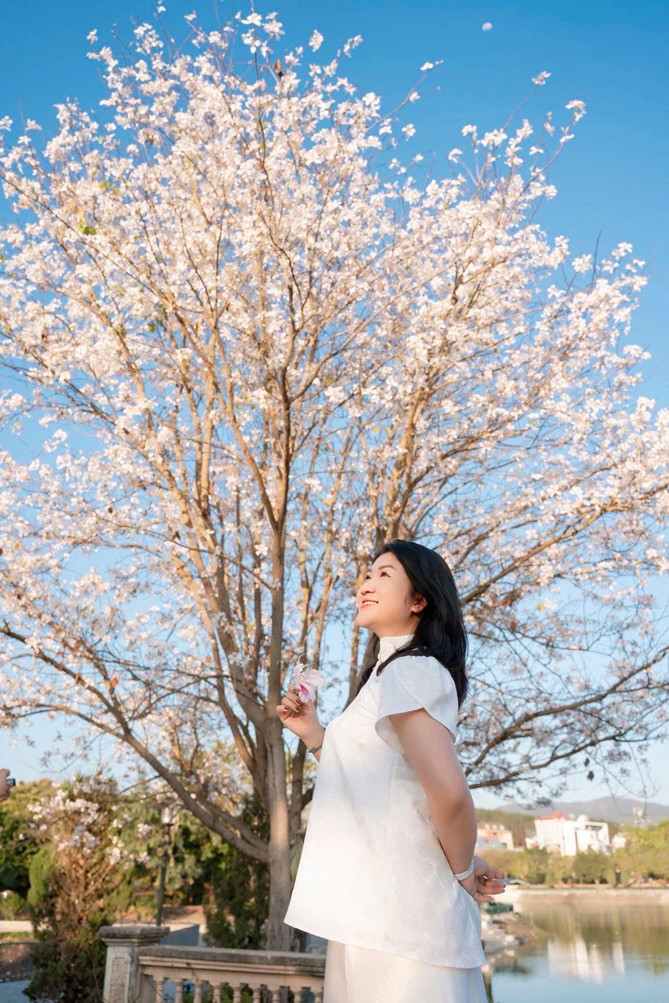 Thiếu nữ chụp ảnh lưu niệm cùng cây hoa ban tại phường Điện Biên Phủ.