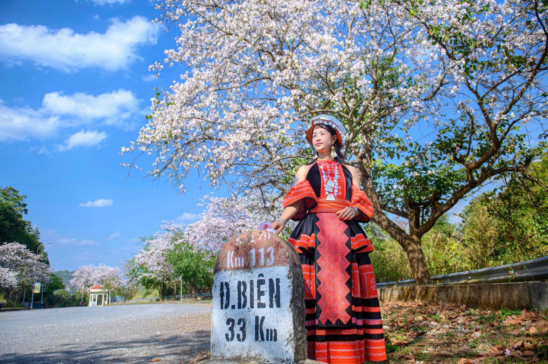 Cô gái trong trang phục Mông cách tân chụp ảnh với hoa ban nở khu vực cửa khẩu Tây Trang (Điện Biên).)