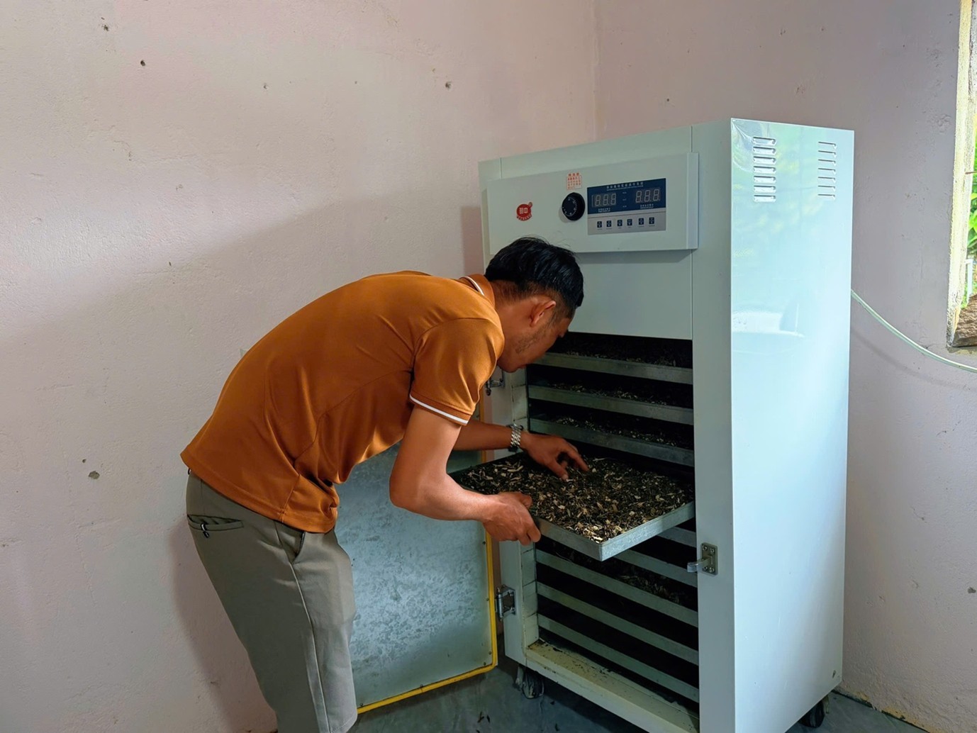 Tía tô quê nhà thành trà OCOP