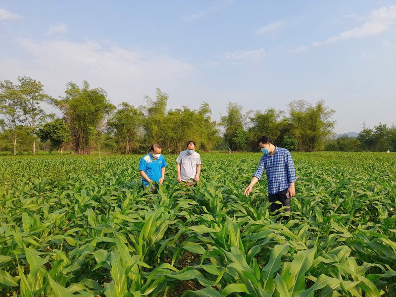 OCOP Cao Bằng nâng tầm nông sản địa phương trên thị trường