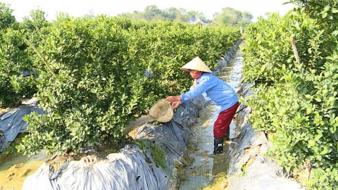 hop tien phat huy noi luc tang toc ve dich nong thon moi nam 2026