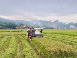 Ngọc Liên tăng tốc xây dựng nông thôn mới nhờ thu nhập gần 70 triệu đồng/năm