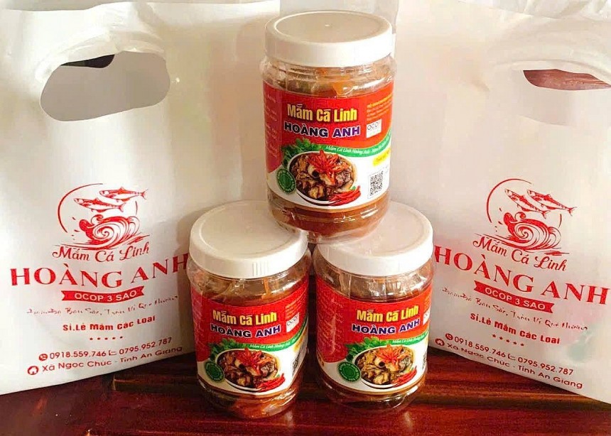 Theo Hoàng Anh, mắm truyền thống của gia đình dù có hương vị rất đậm đà, nhưng chưa có thương hiệu dẫn đến khó cạnh tranh giữa thị trường hiện tại