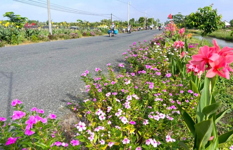 VĨNH LONG: Kiểm tra tiến độ xây dựng xã nông thôn mới An Hiệp