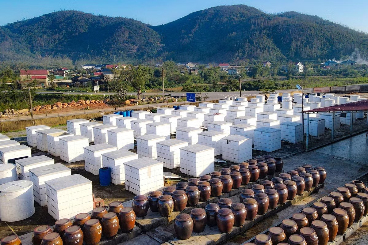 Cơ sở sản xuất được ứng dụng công nghệ, cho năng suất cao.